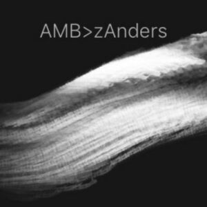 procreate zanders brush