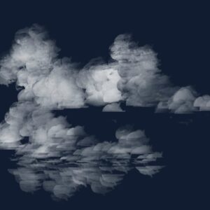 's miscellaneous brushes