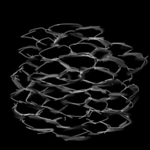 scales and fur procreate