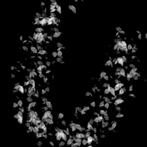 scattered leaves brush (2)