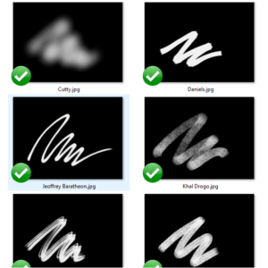 shaddy safadi knockoff brushset