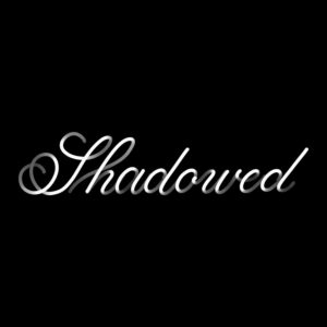 shadowed procreate lettering brush