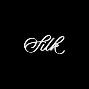 silk procreate lettering brush