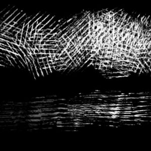 skritchy brush procreate