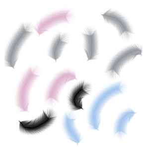 soft feathers procreate