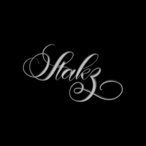 stakz procreate lettering brush