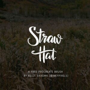 straw hat by inkypixels free brushes for procreate