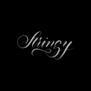 stringy procreate lettering brush