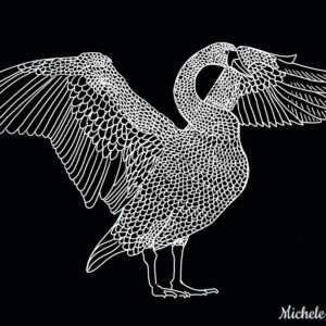 swan stamp brush procreate