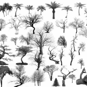 tree stamp brushes procreate (1)