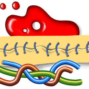 tubular brushes procreate