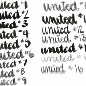 united by echo free brushes for procreate