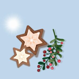 winter holidays brushes