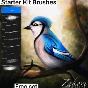zakori’s free brushpack zakoris sketchers
