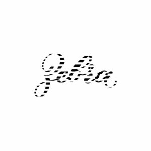 zebra procreate lettering brush