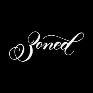 zoned procreate lettering brush