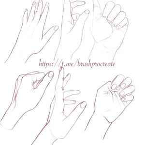brush procreate Кисти Рук free brushes for procreate (1) brushespack net 2023 06 06 06 57 16 805.jpg 805