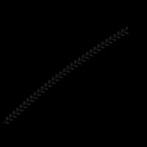 leaf brush procreate