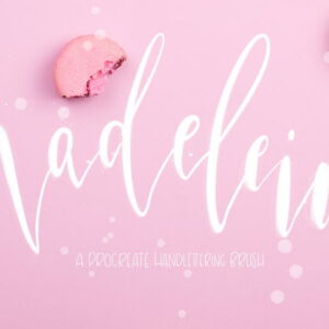 madeleine free procreate brush