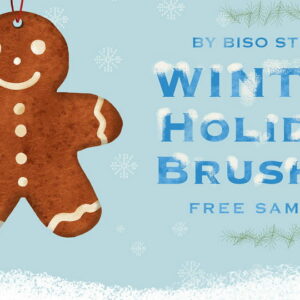 winter brushes procreate