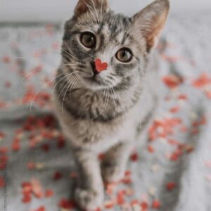 Восточная кисть free brushes for procreate