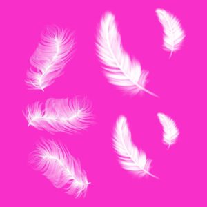 Перья free brushes for procreate (2)