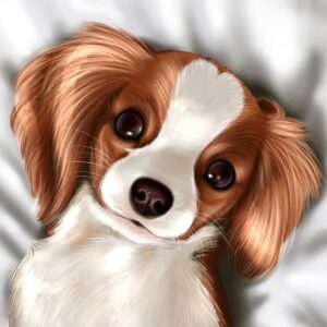 Рисуем Собачку free brushes for procreate (3)