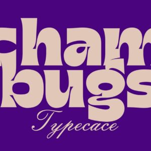 chambugs font (personal use)