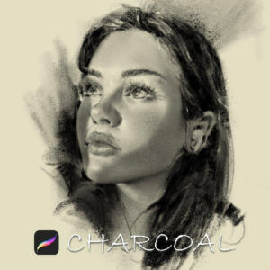 charcoal brushes for procreate