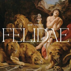 felidae (personal & commercial use)