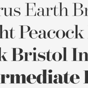 hoefler&co. surveyor font family complete (display fine text screensmart office