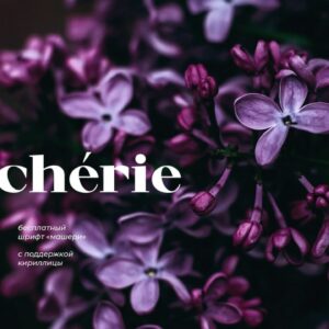 macherie by anastasia ermolaeva (personal & commercial use) (2)