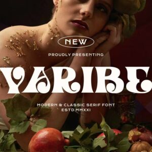 modern font varibe (personal use)