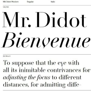nouvelle noire didot modern font family