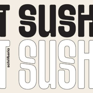 sft sushka font cyrillic free trial by yulia gonina (4)