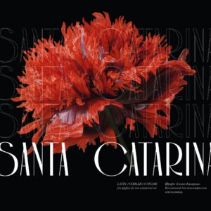 santa catarina by stanislav chiganov (personal use) (5)