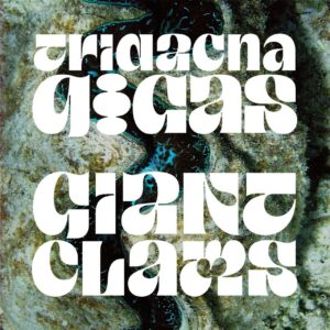 taklobo by john david maza (personal use) (5)