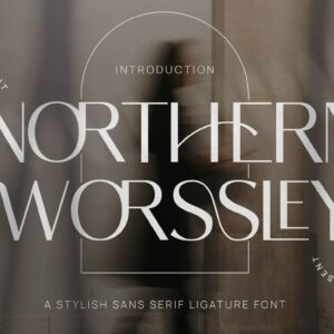 typetemp studio northern worssley font (personal use)