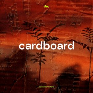 cardboard textures by saintricchi