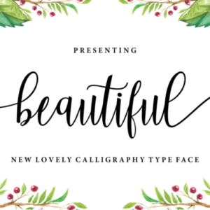 beautiful font (1)